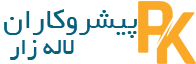 پیشرو در صنعت الکتریک
